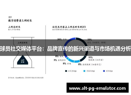 球员社交媒体平台：品牌宣传的新兴渠道与市场机遇分析