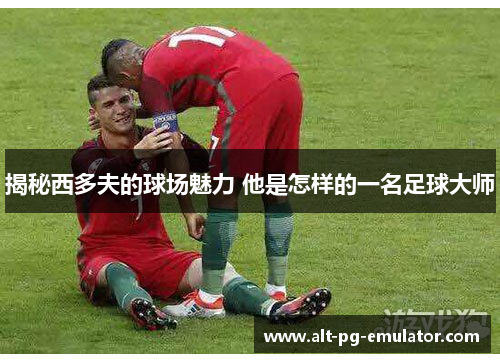 揭秘西多夫的球场魅力 他是怎样的一名足球大师