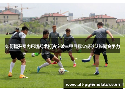 如何提升费内巴切战术打法突破三甲目标实现球队长期竞争力
