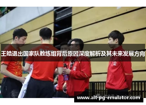 王皓退出国家队教练组背后原因深度解析及其未来发展方向