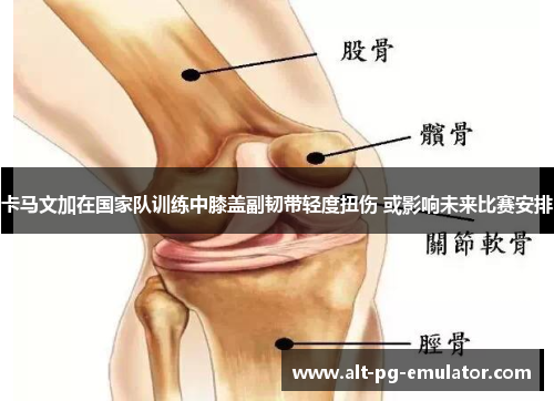卡马文加在国家队训练中膝盖副韧带轻度扭伤 或影响未来比赛安排