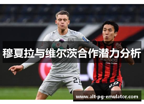 穆夏拉与维尔茨合作潜力分析